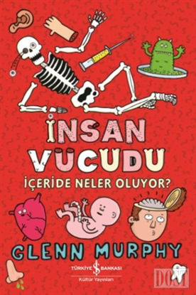 İnsan Vücudu